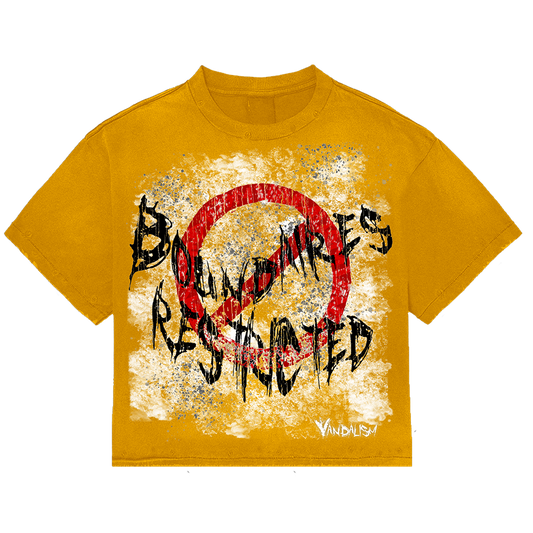 BOUNDAIRES RESTRICTED TEE(MUSTARD)